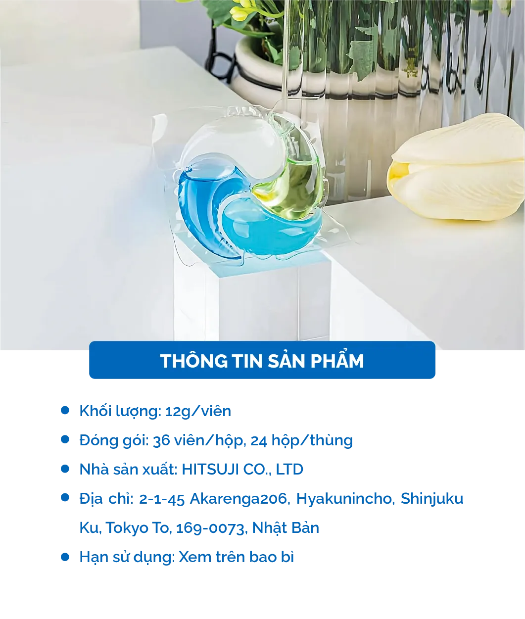 13 13 2 viện giặt
