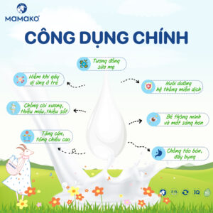 Combo 2 Lon Sữa Dê Công Thức MAMAKO® Premium Số 2 (Bé 6 - 12 tháng tuổi) - 800g 4 Artboard 2 4 sữa dê công thức