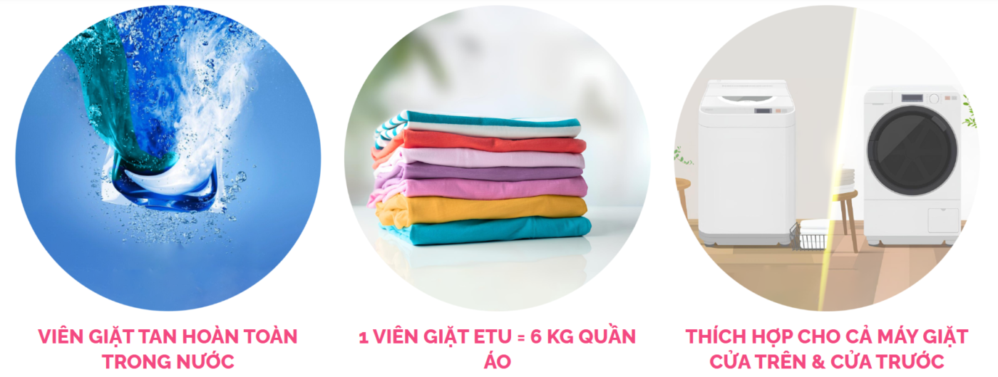 dd vien giat north viện giặt