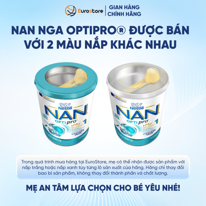 6. 2 mau nap Nan Nga số 4